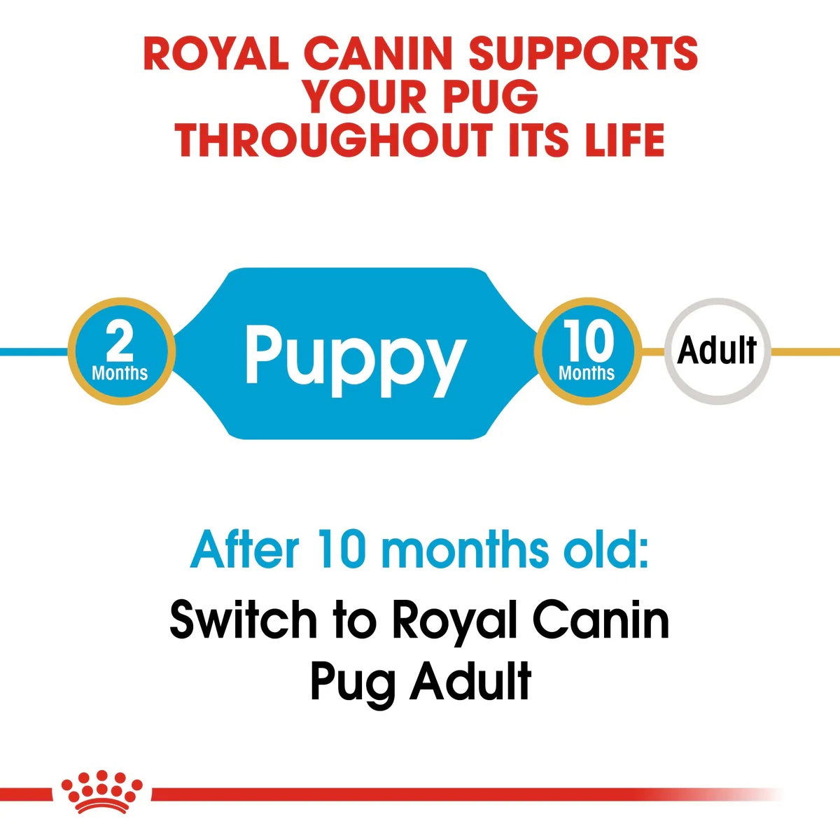 Royal Canin Pug Puppy 1.5kg -  - PetsOffice