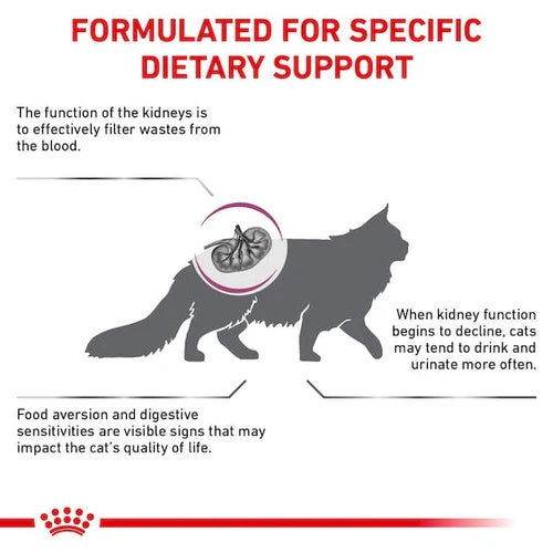 Paw & Joy Biggest Pet Supplies brand in Egypt | Royal Canin Renal Cat Dry Food 4kg