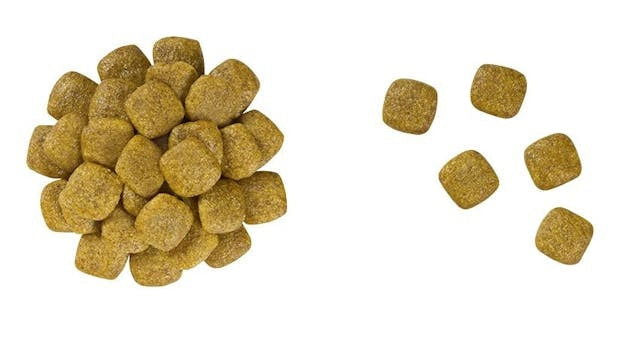 Royal Canin Renal Dog Dry Food 7kg -  - PetsOffice