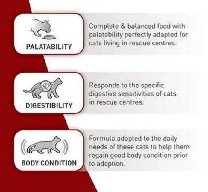 Paw & Joy Biggest Pet Supplies brand in Egypt | Royal Canin SC365D 15kg