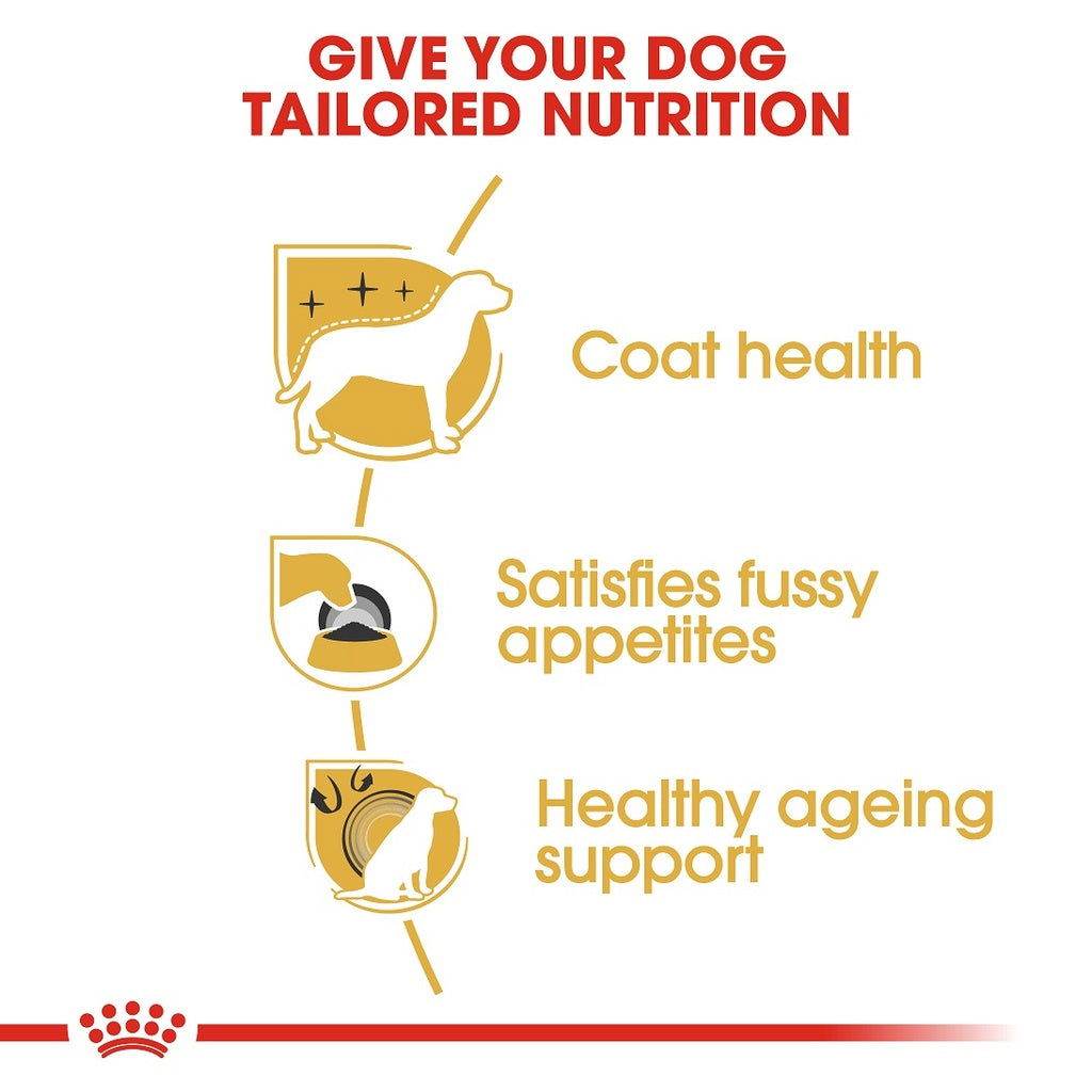 Paw & Joy Biggest Pet Supplies brand in Egypt | Royal Canin Yorkshire Adult 1.5kg