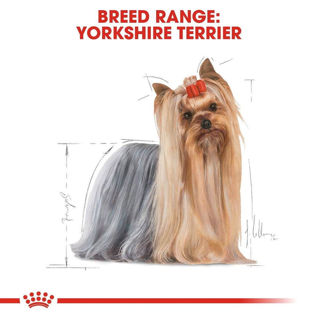 Paw & Joy Biggest Pet Supplies brand in Egypt | Royal Canin Yorkshire Adult 1.5kg
