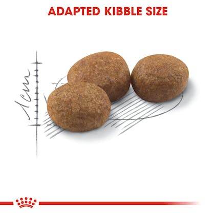 Paw & Joy Biggest Pet Supplies brand in Egypt | Royal canin Sterilised 400g