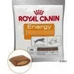 Royal Canin Nut Sup Dog Energy 50g - Paw & Joy