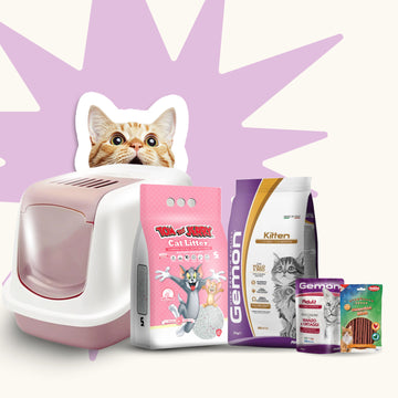 Kitten Starter Bundle (For First-Time Cat Owners)