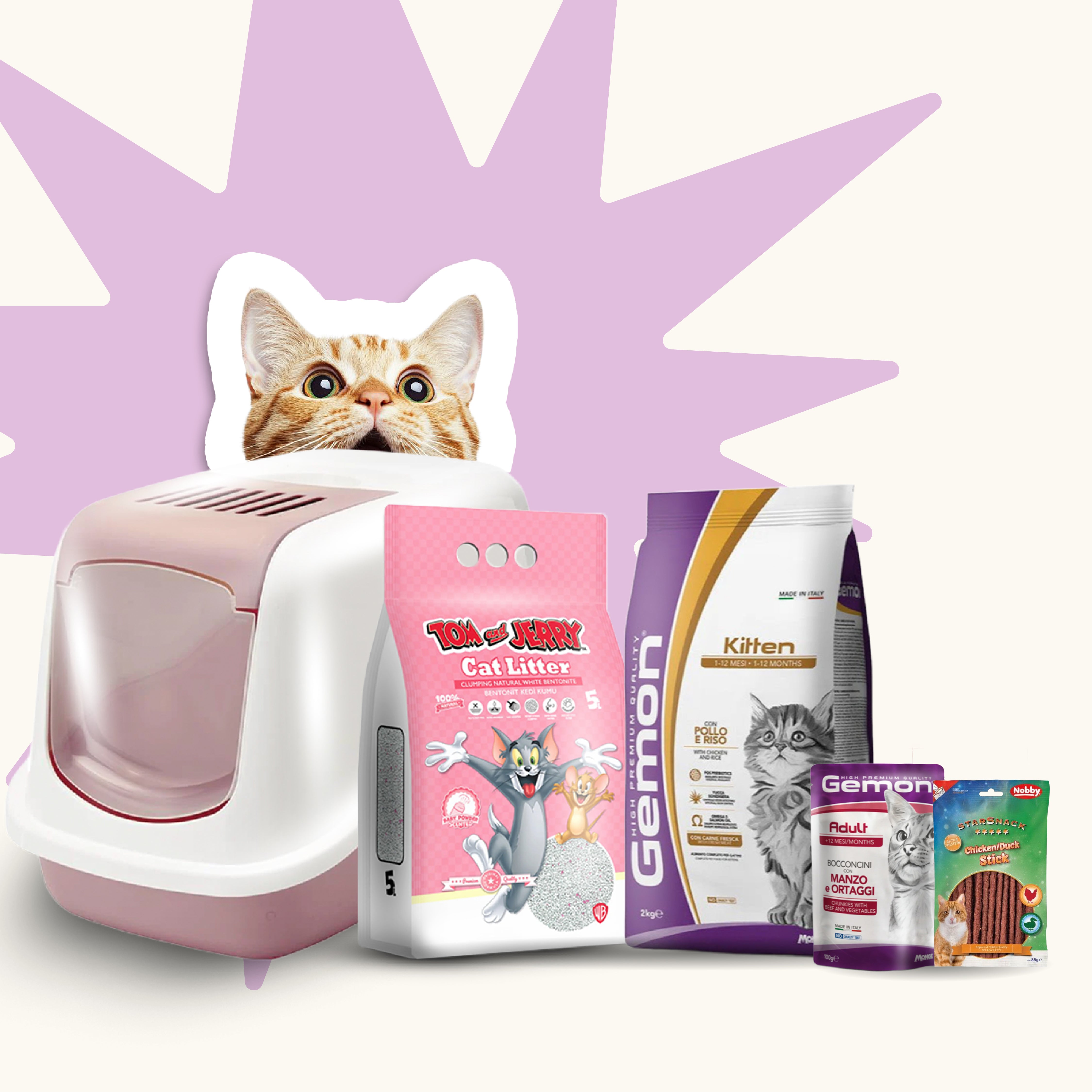 Kitten Starter Bundle (For First-Time Cat Owners)