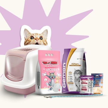 Kitten Starter Bundle (For First-Time Cat Owners)
