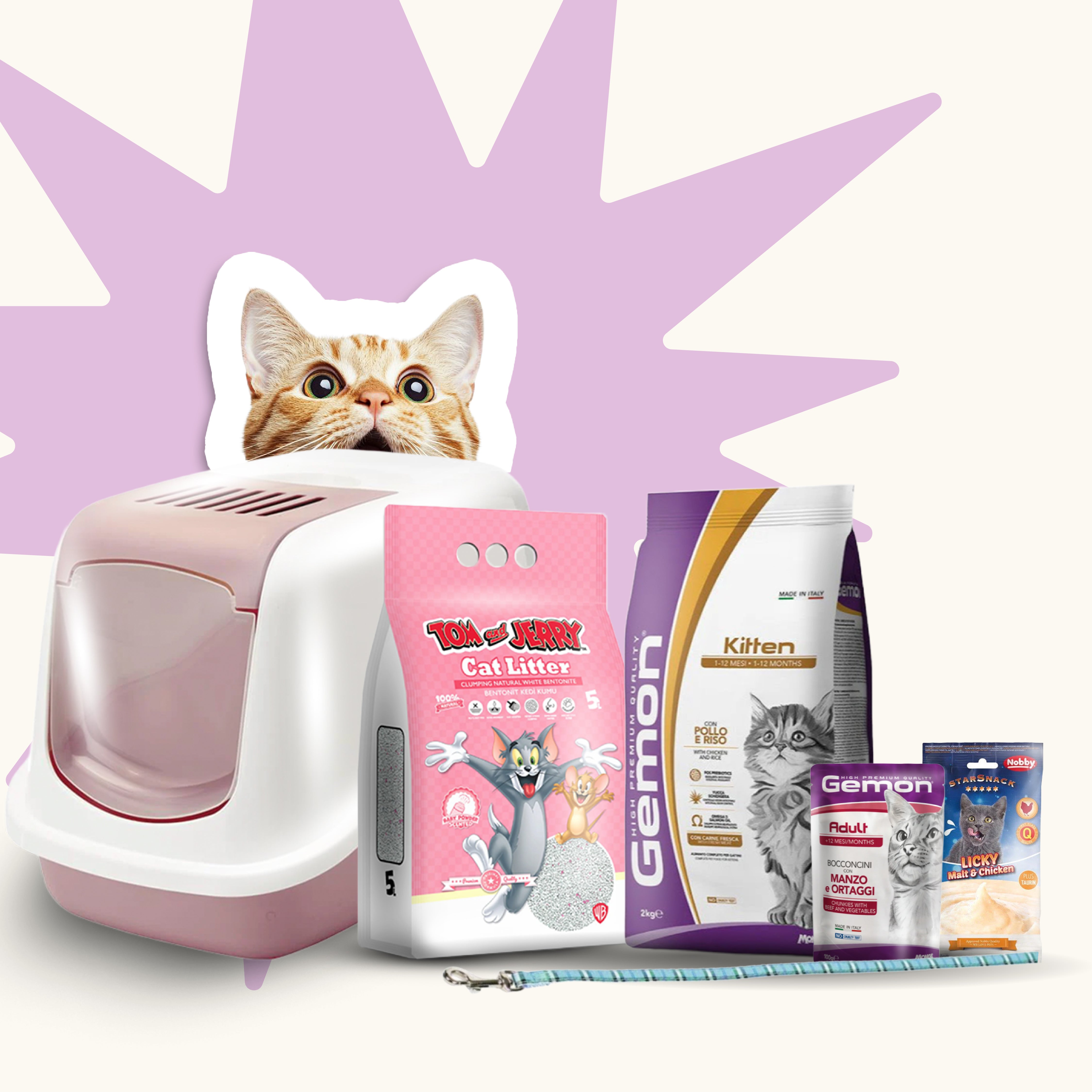 Kitten Starter Bundle (For First-Time Cat Owners)