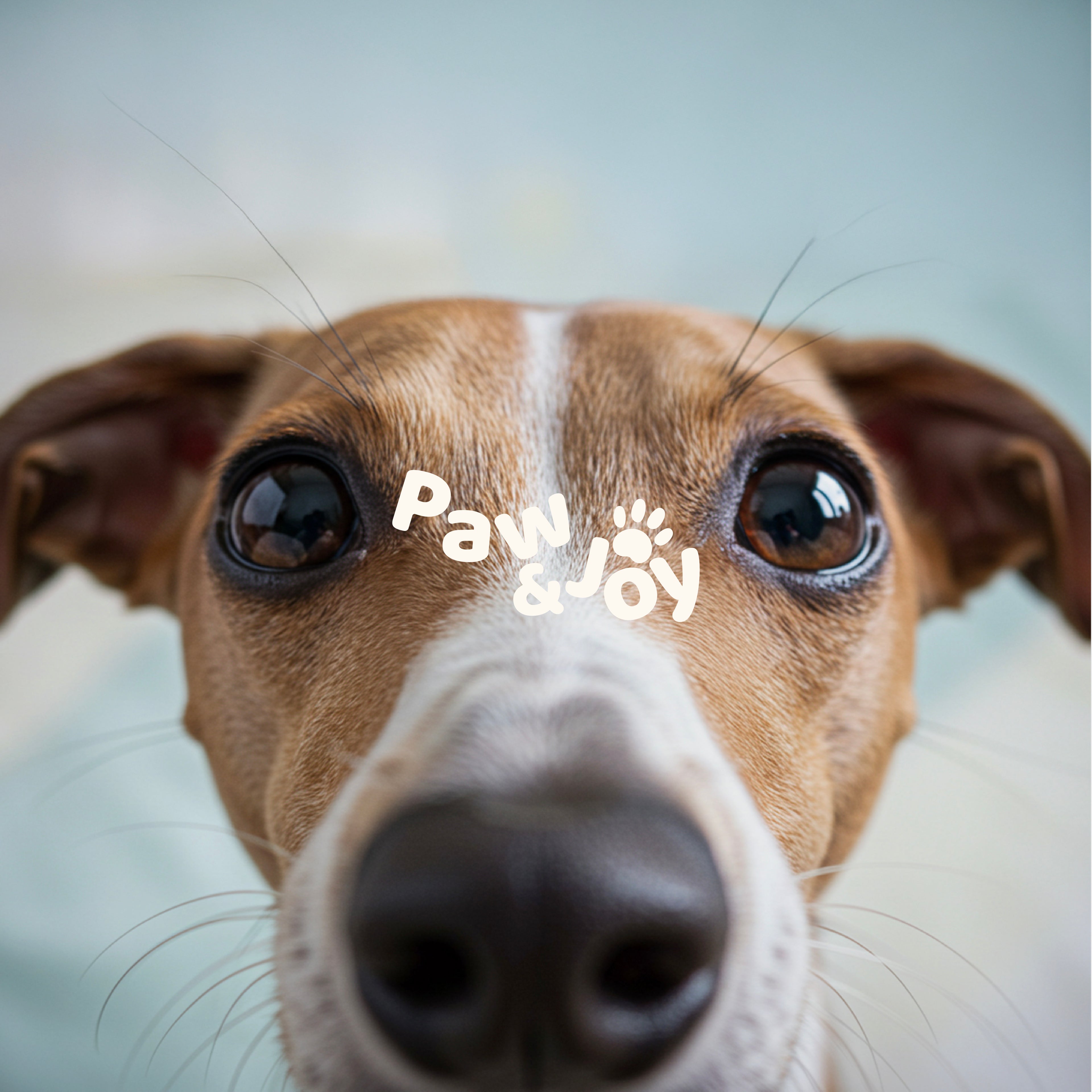 slider image slider_item_WHVLc7
