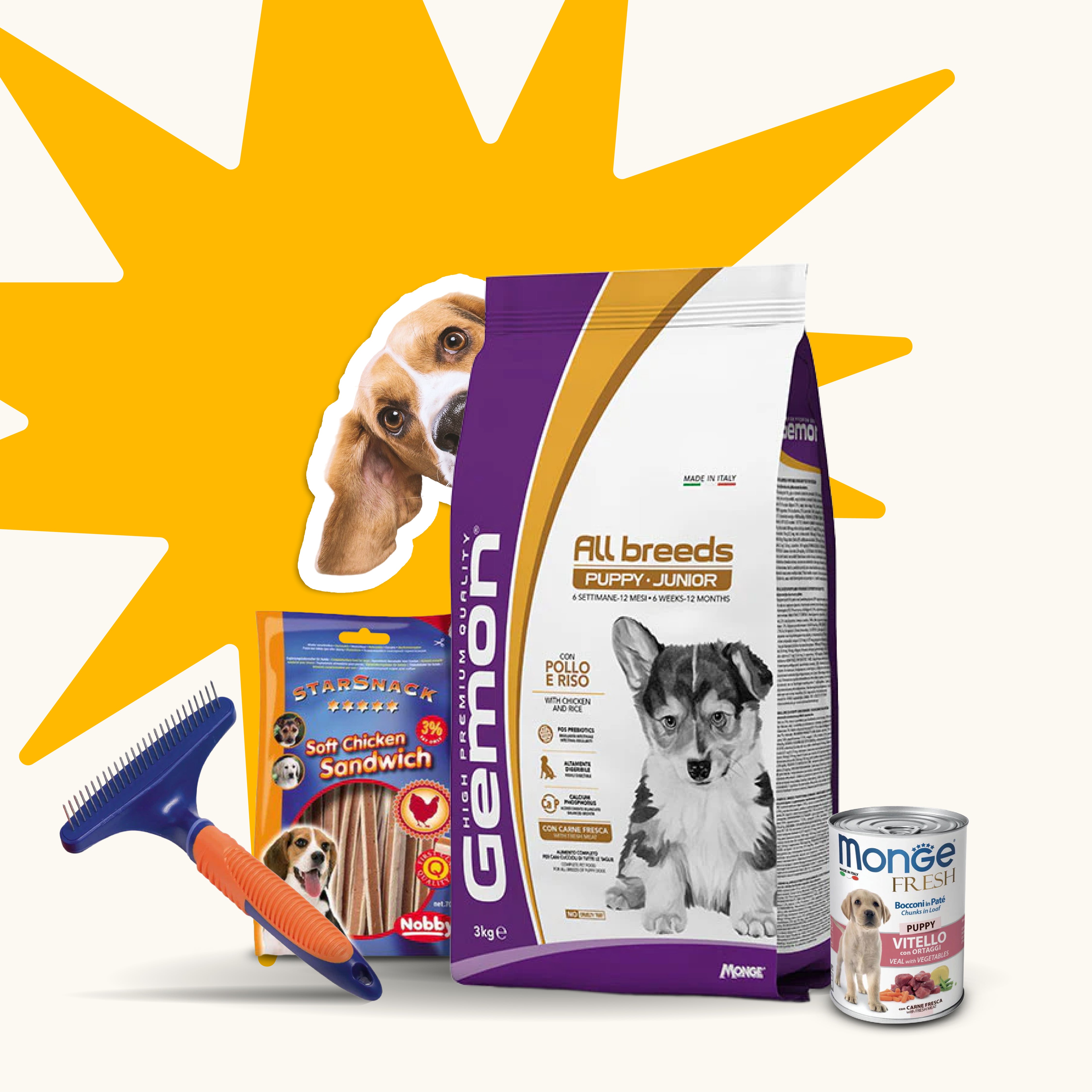 Little Paws Bundle